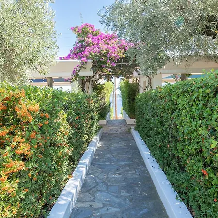 Elea Villas Steni Vala Alonissos Exterior photo