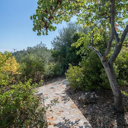 Elea Villas Steni Vala Alonissos Exterior photo